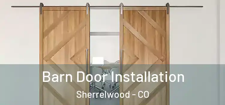  Barn Door Installation Sherrelwood - CO