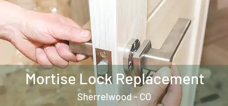  Mortise Lock Replacement Sherrelwood - CO