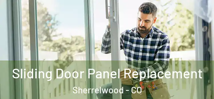  Sliding Door Panel Replacement Sherrelwood - CO